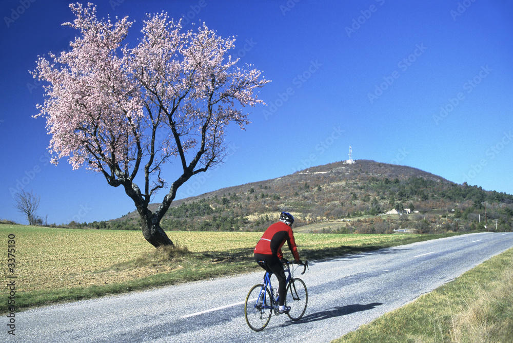 biker in spring-2a