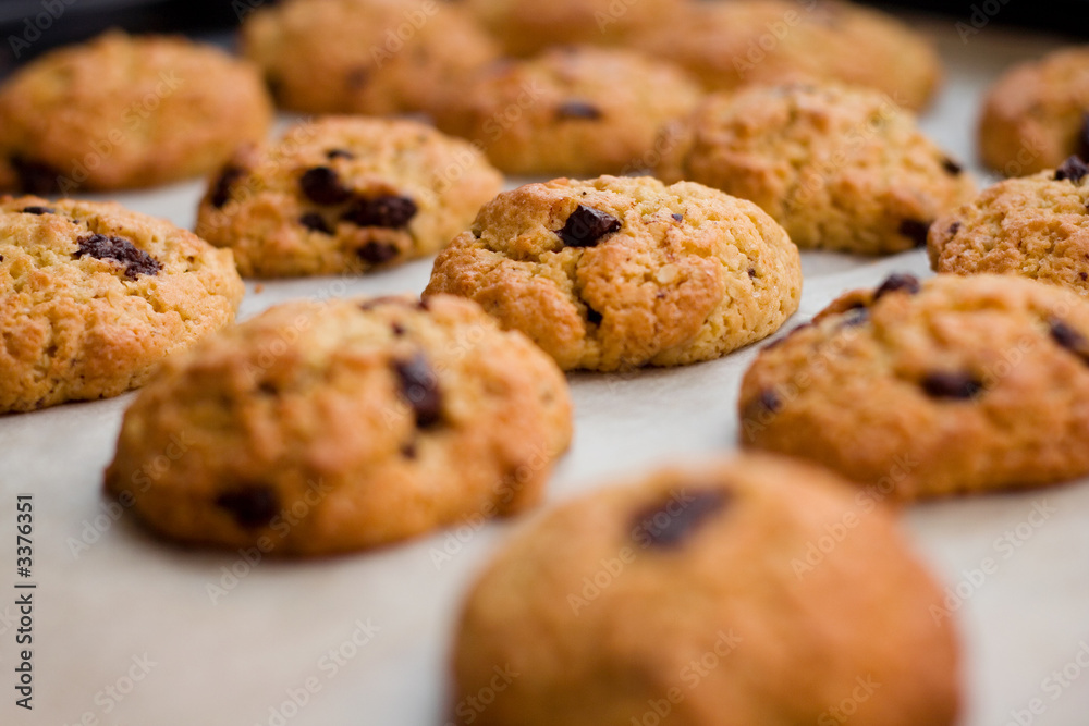 chocolate chip cookies chocolate chip cookies