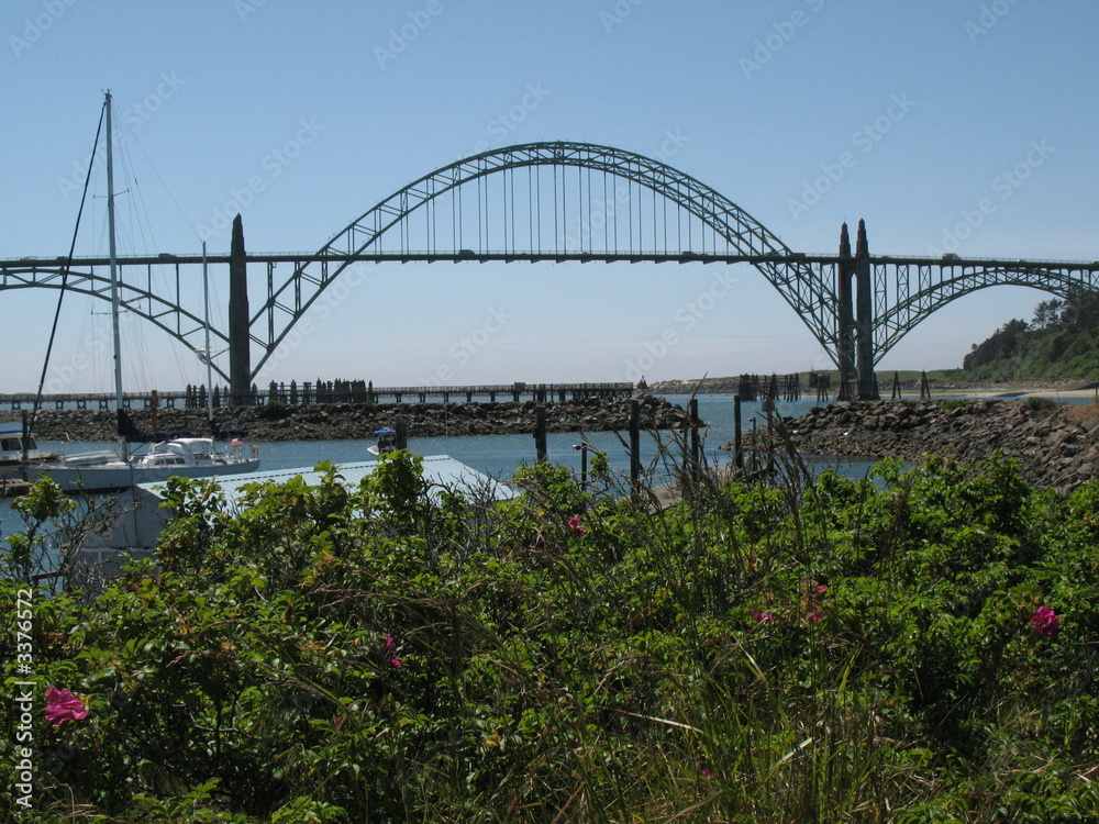 Fototapeta premium bridge