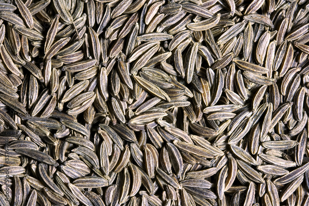 caraway seeds caraway seeds