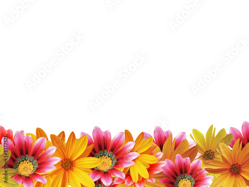 Fototapeta Naklejka Na Ścianę i Meble -  flower frame