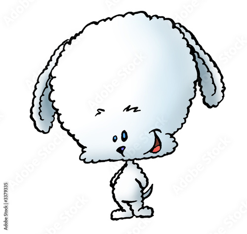 bichon sd