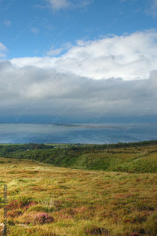 lande irlandaise