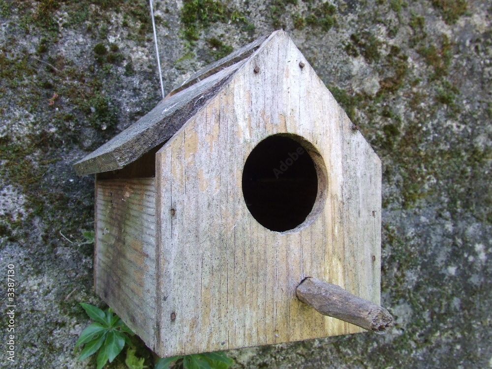 bird house
