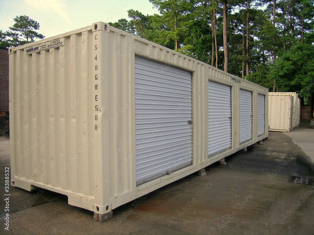 Obraz premium metal storage shed