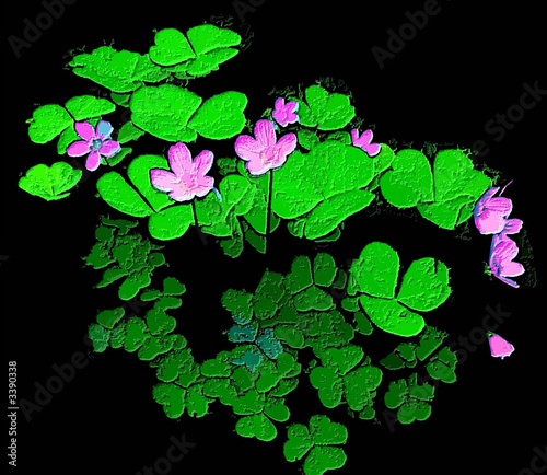 wild flowers on a black background