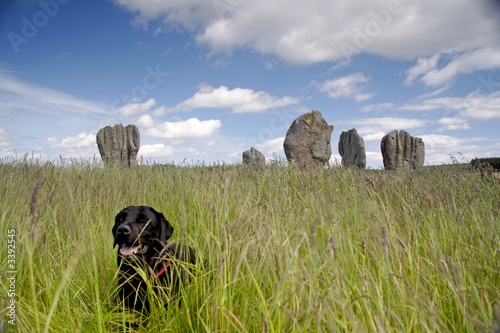 duddo stone circle photo