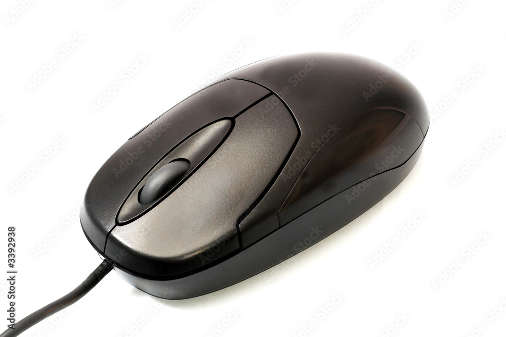 computer mouse computer mouse