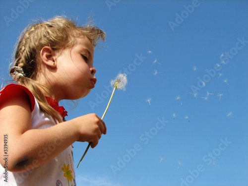 blowing the dandelion