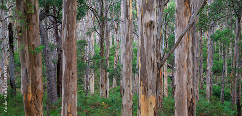 Fotografija australien_07_0802,01