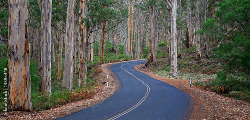australien_07_0803,01 photo