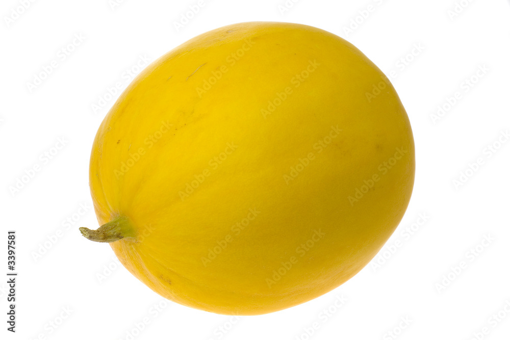 whole honey white melon whole honey white melon