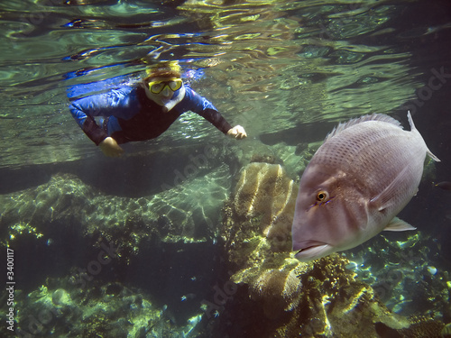sweetndiver photo