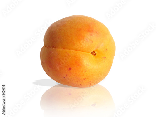fresh apricot