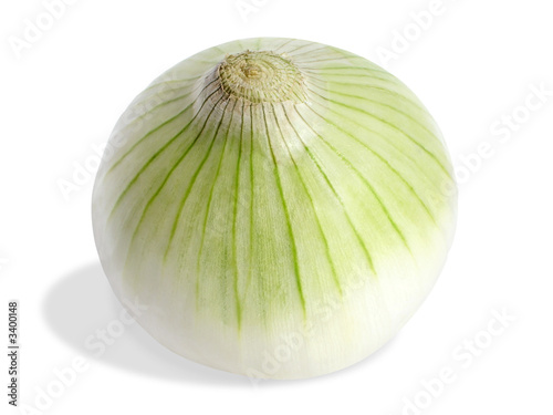 fresh onion