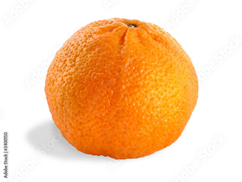 fresh clementine