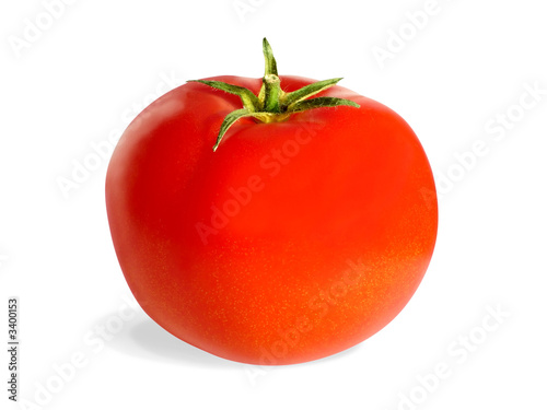 tomato 02
