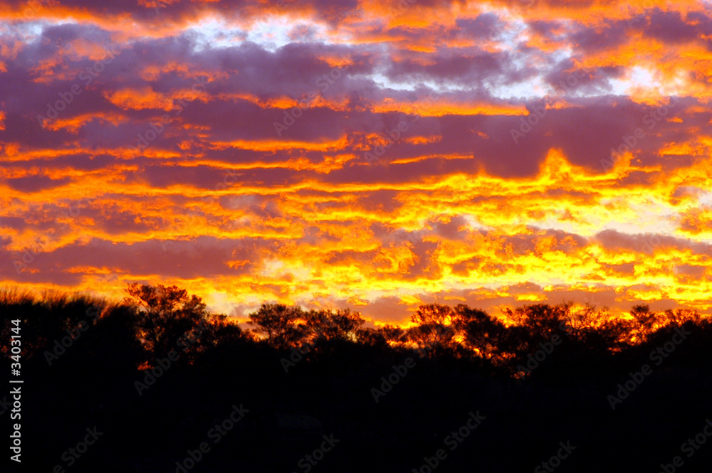 ciel du bush