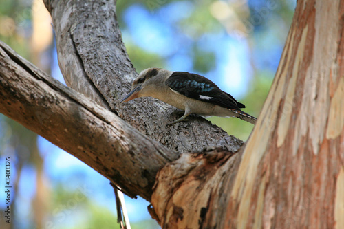 australien_07_0833