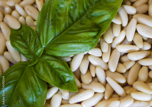 basil & pine nuts