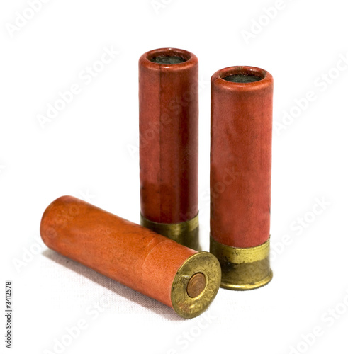 Obraz na płótnie isolated shotgun shells w salonie