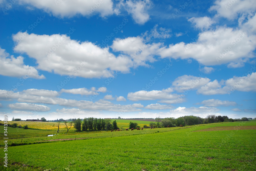 farmland with blue and cloudy sky