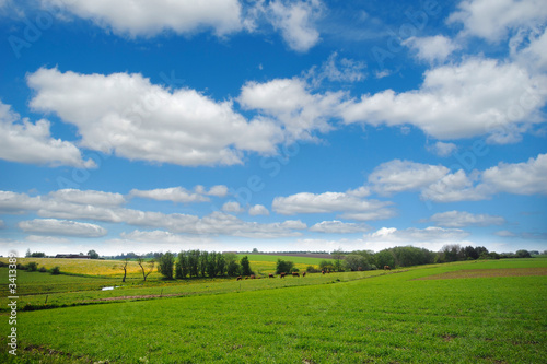 farmland with blue and cloudy sky