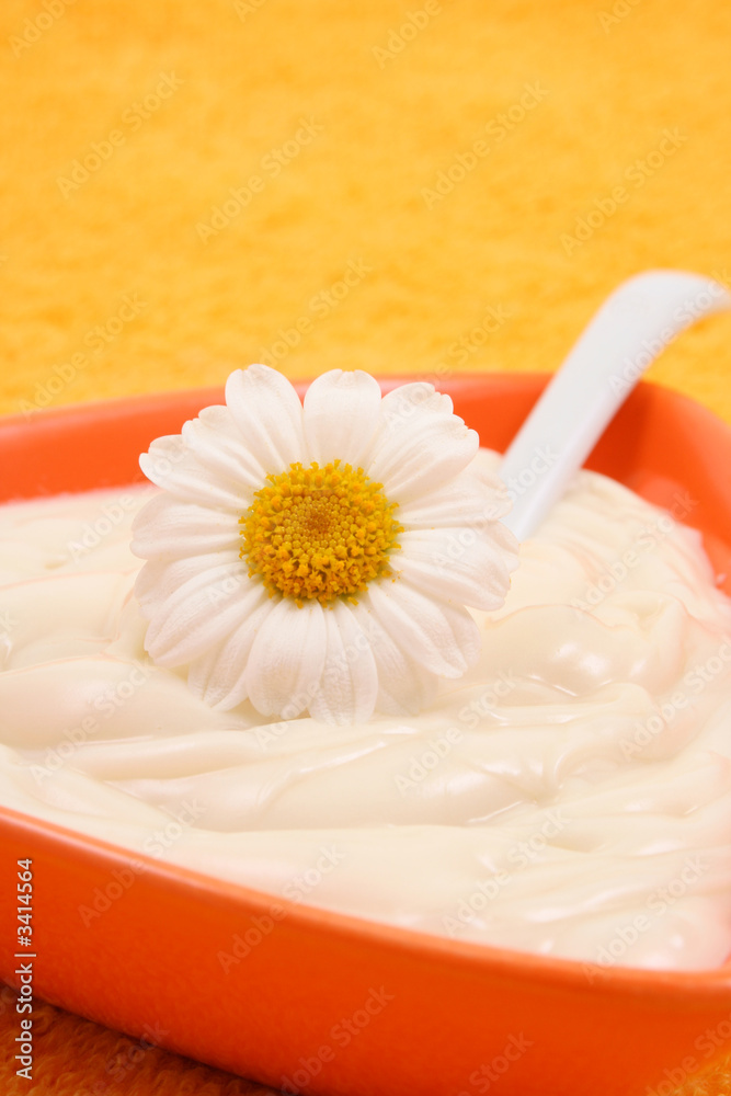 camomile cream camomile cream