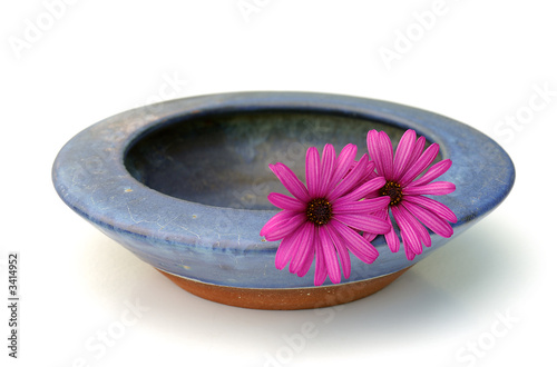 bowl and flowers