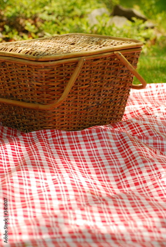 backyard picnic
