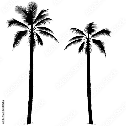 palm tree silhouette 1