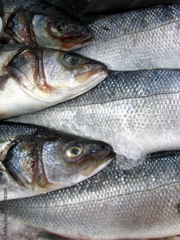 fish market fish market