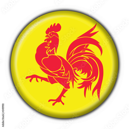 bottone bandiera wallonia wallonie button flag