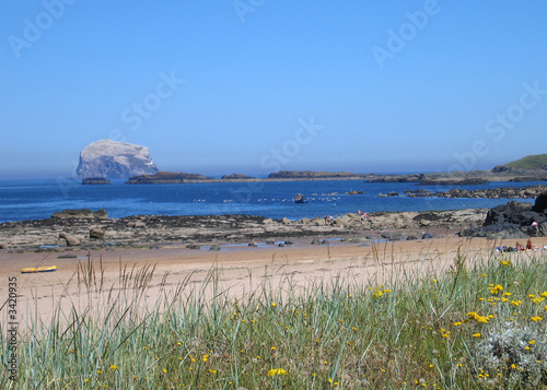 beach and bass rock north berwick scotland