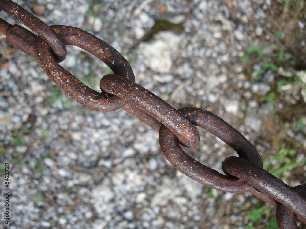 Obraz premium connection