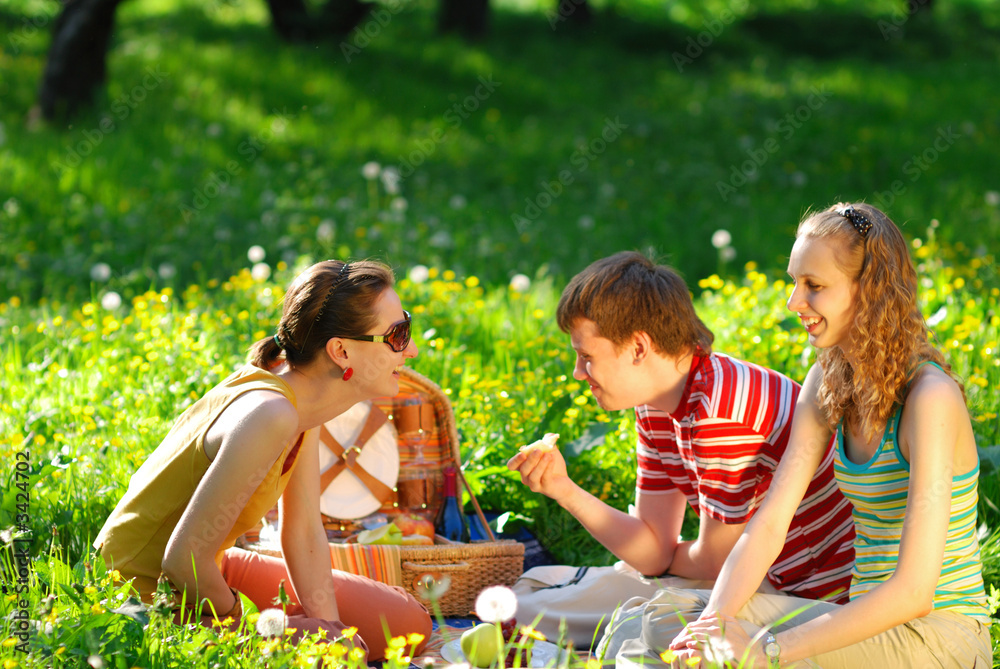 Fototapeta premium friends on picnic