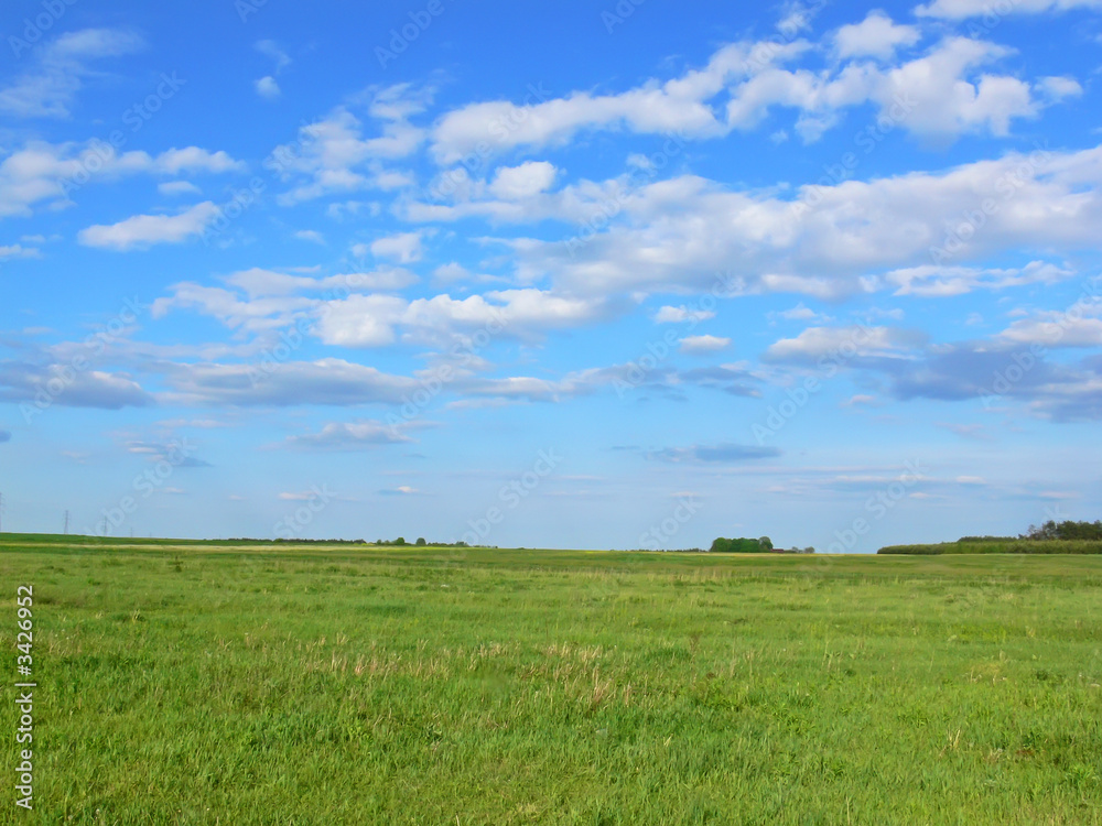 landscape - green field