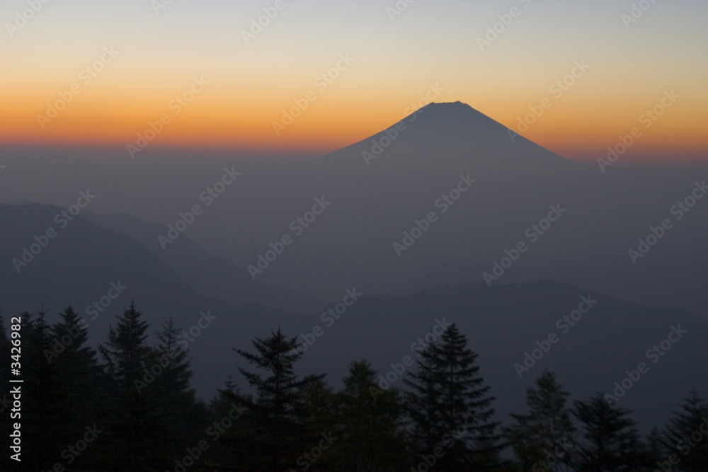 sunrise with pine trees and mountain