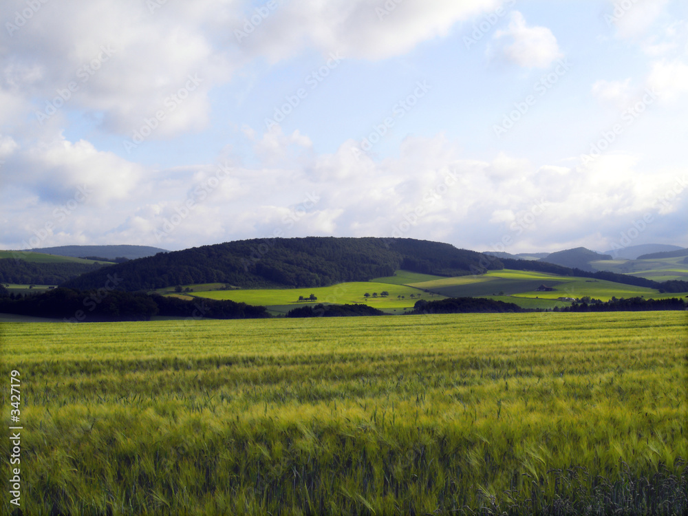 Obraz premium upland