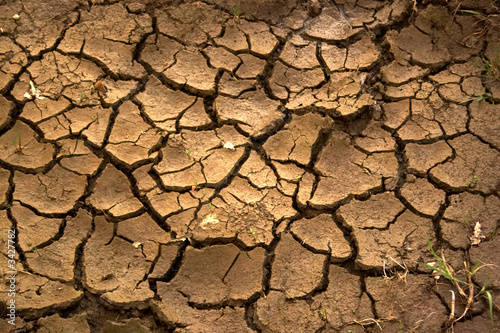 Fotografie, Obraz drought