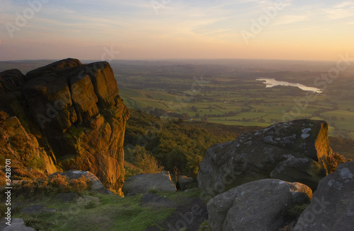 the roaches in the last light of the day