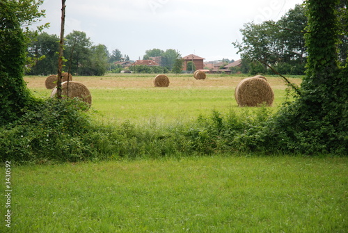 paesaggio agricolo photo