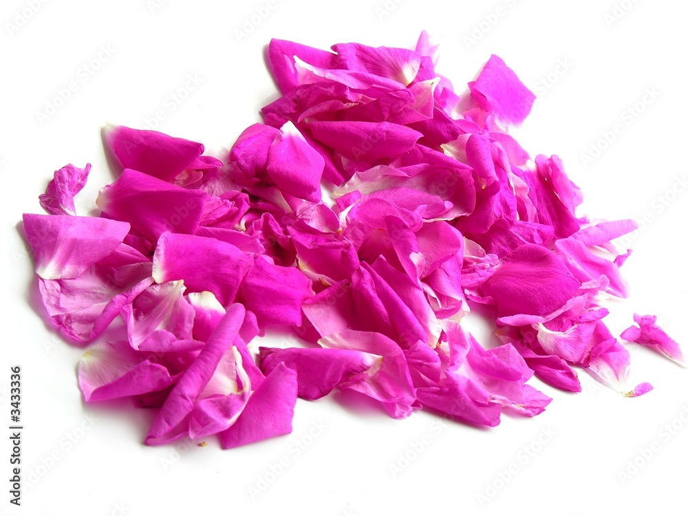 sugar-rose petals for fragrantes jam