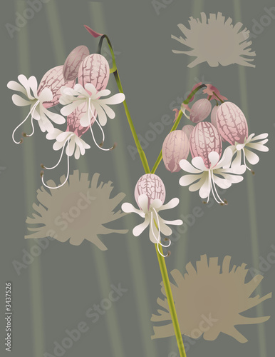 beautiful wild flower