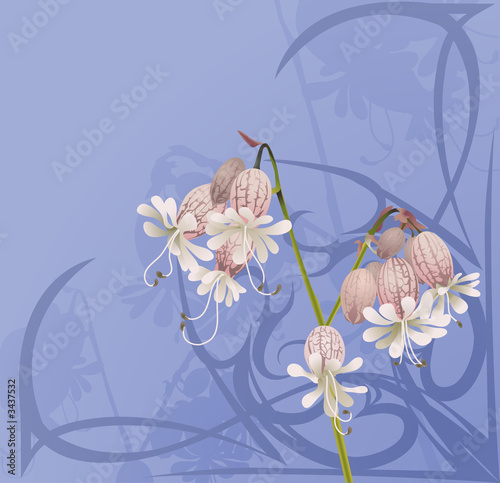 beautiful flower background