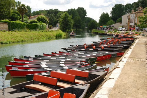 le marais poitevin