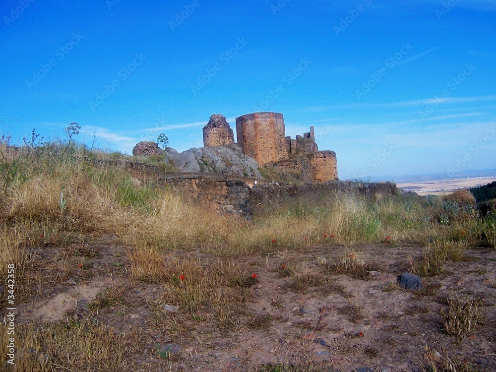 Fototapeta premium castillo de magacela6