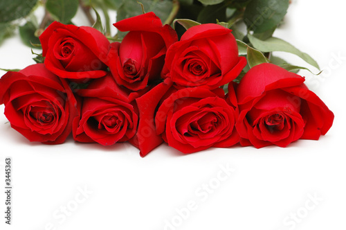 bunch of red roses isolated on white