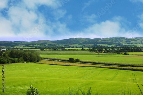 landscape with green grass and blue cloudy sky © Elnur