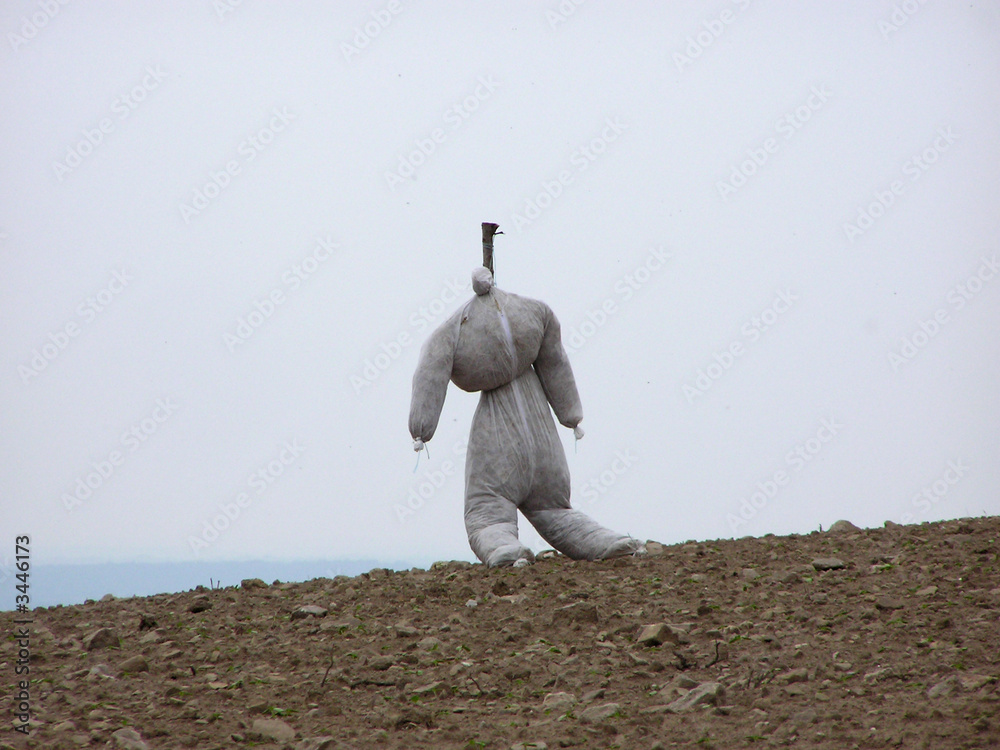 Obraz premium 1371 - epouvantail